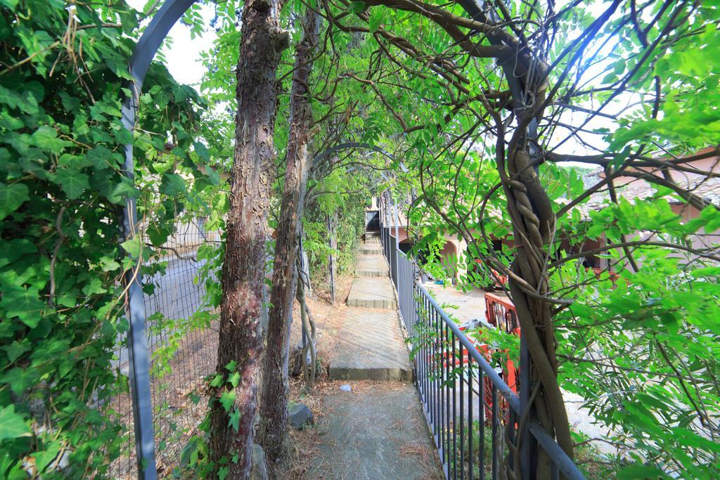Frascati Country House Grottaferrata Bagian luar foto